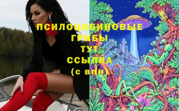 прущие крисы Кукмор