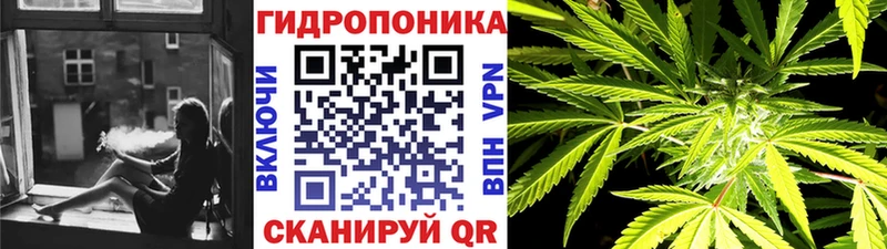 Купить где Старица Марихуана THC 21%